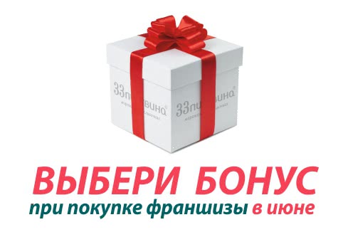 Франшиза «33 пингвина»: летние акции для франчайзи! Франшиза «33 пингвина»: летние акции для франчайзи!