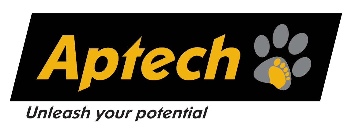 Aptech's Career Quest 2015 в России Aptech's Career Quest 2015 в России